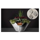 Slick Rock Concrete 29" Conical Cascade Water Bowl + Planter | Shale | Stainless Steel Scupper | KCC29CSCSS-SHALE