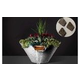 Slick Rock Concrete 34" Conical Cascade Water Bowl + Planter | Coal Gray | Copper Scupper | KCC34CSCC-COALGRAY