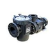 Waterco HydroStar Plus 7.5HP Commercial Pump With Strainer | Single Phase 208-230-460V | 24607507A