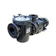 Waterco Hydrostar Plus 10HP Commercial High Performance Pump with Strainer | 3-Phase 208-230/460V | 24610006A