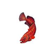 Ceramic Mosaic Coral Grouper 16 in x 9 in | CG76