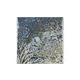 National Pool Tile North Ocean 6x6 Series | Blue | ELONORBLU 6