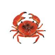 Artistry In Mosaics Crab Mosaic | Red - 9" | CRARES