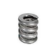 Pentair Quick Release Spring | 195612