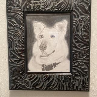 Submitted by Margherita T