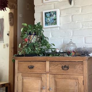 Submitted by Mary Ann J