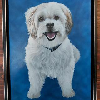 Submitted by Debra C