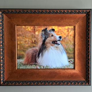 Submitted by Elaine t