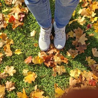 Submitted by MARIA PAZ M