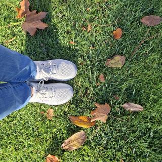 Submitted by MARIA PAZ M