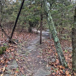 Submitted by Eric_the_Eric