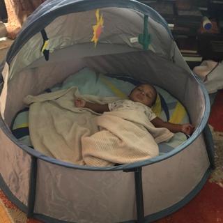Submitted by Ingrid Hurlock