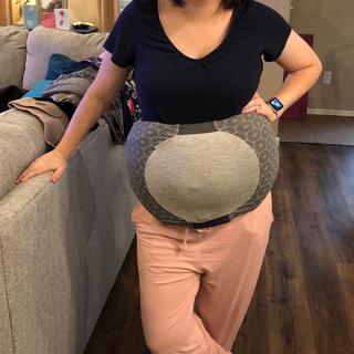 Submitted by Erin Holland