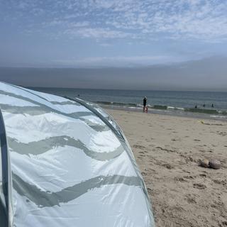 Submitted by Erika G.