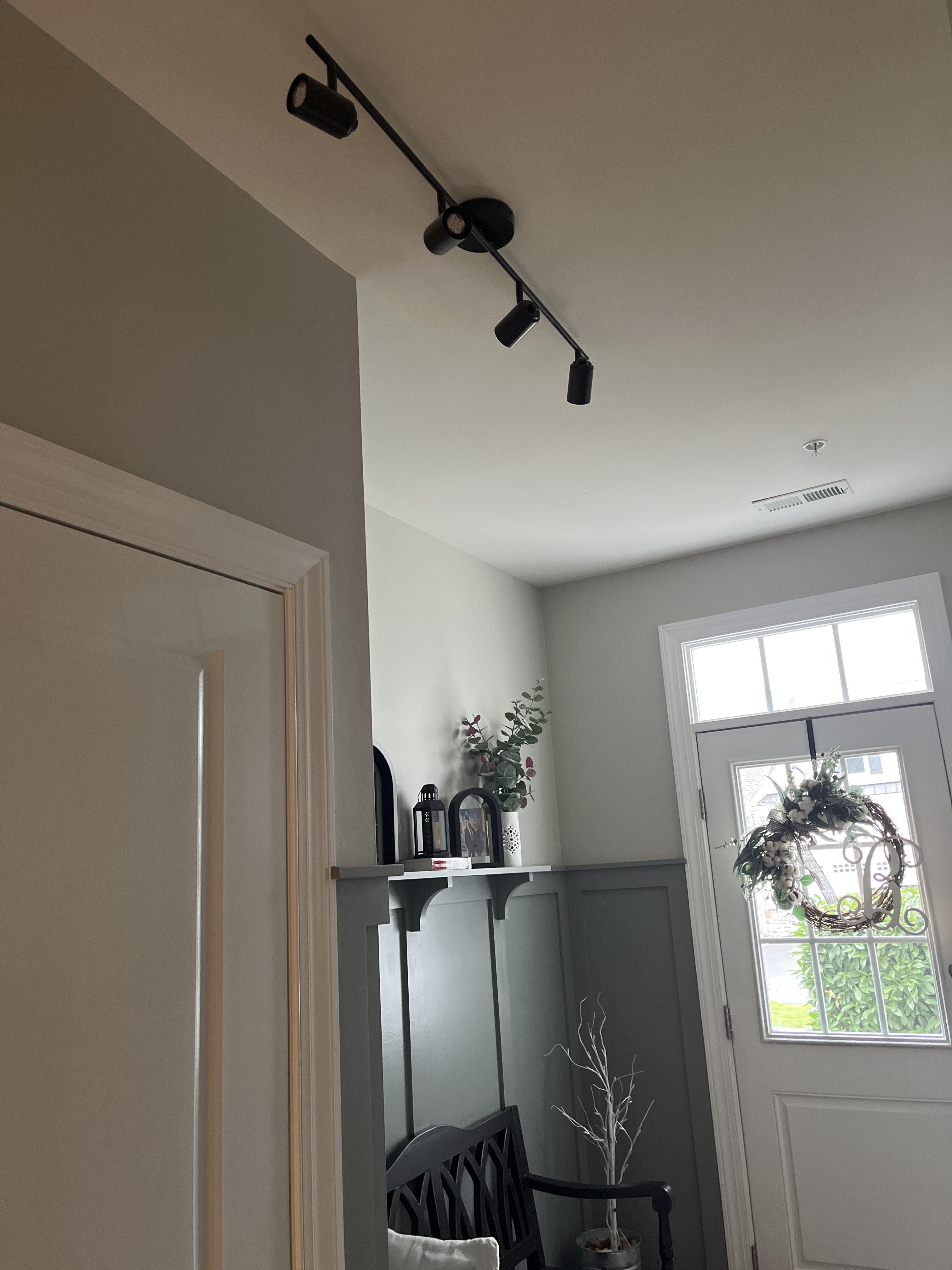Pro Track Vester 4-Light Black LED Ceiling or Wall Track Fixture