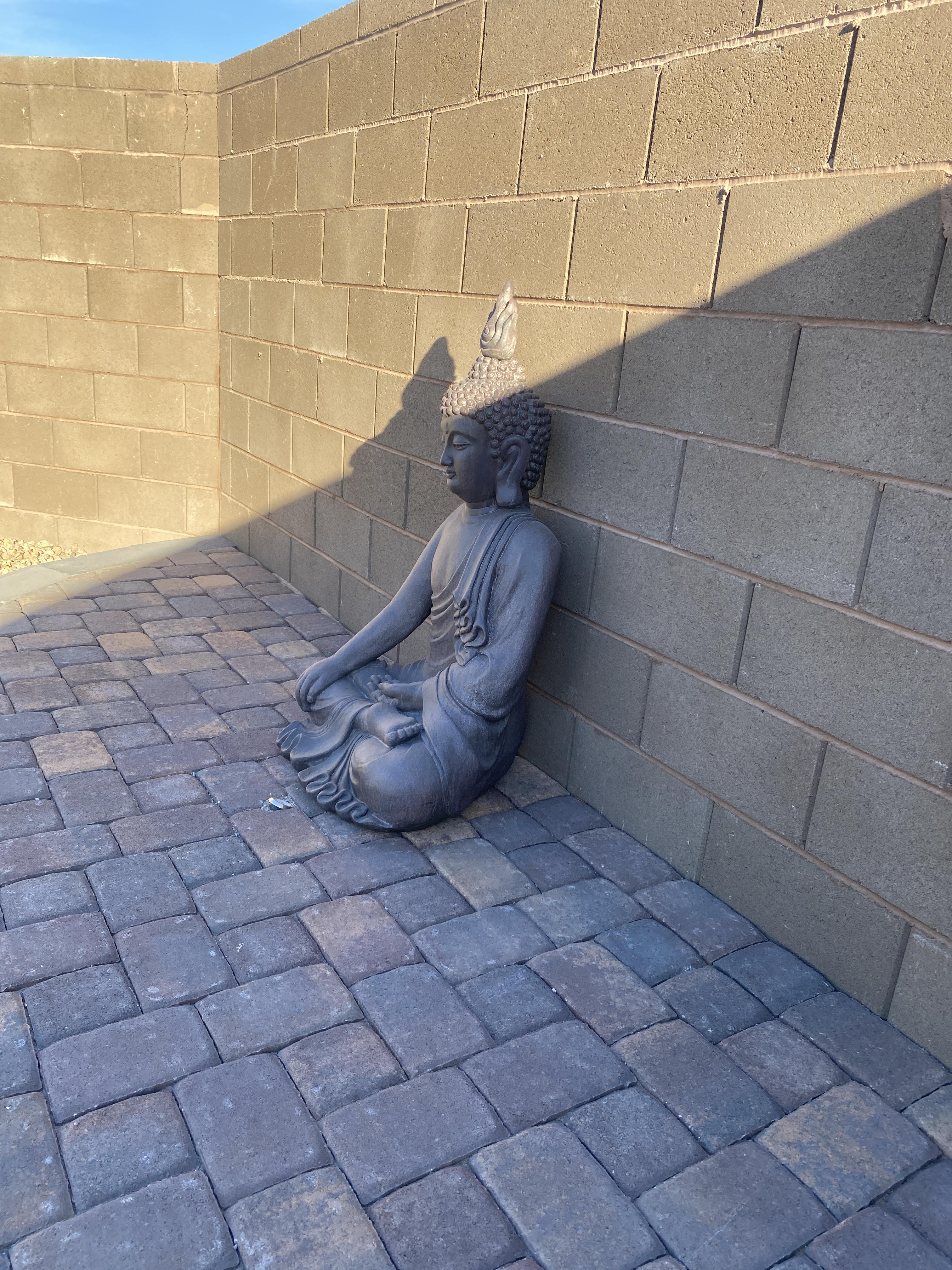 BUDDiiS生写真 商品一覧ページ | ONLINE SHOP スタダ便 | BUDDiiS