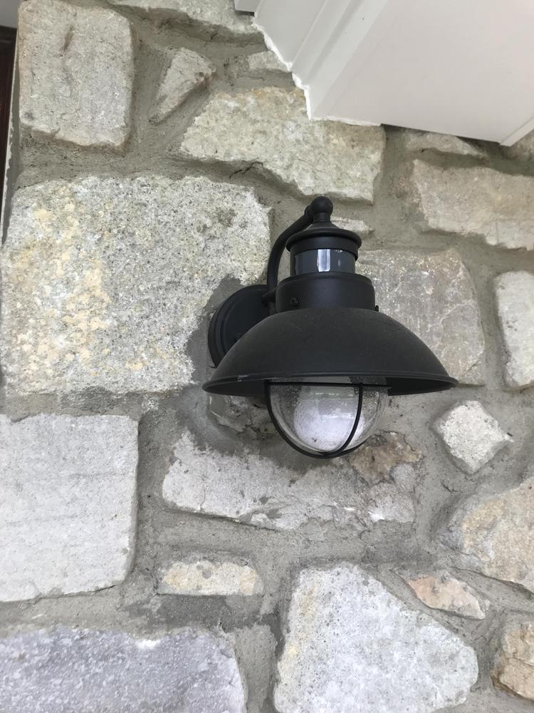 ボブ・ディランGuided by the Eternal Light (2CD) フリーホイーリン