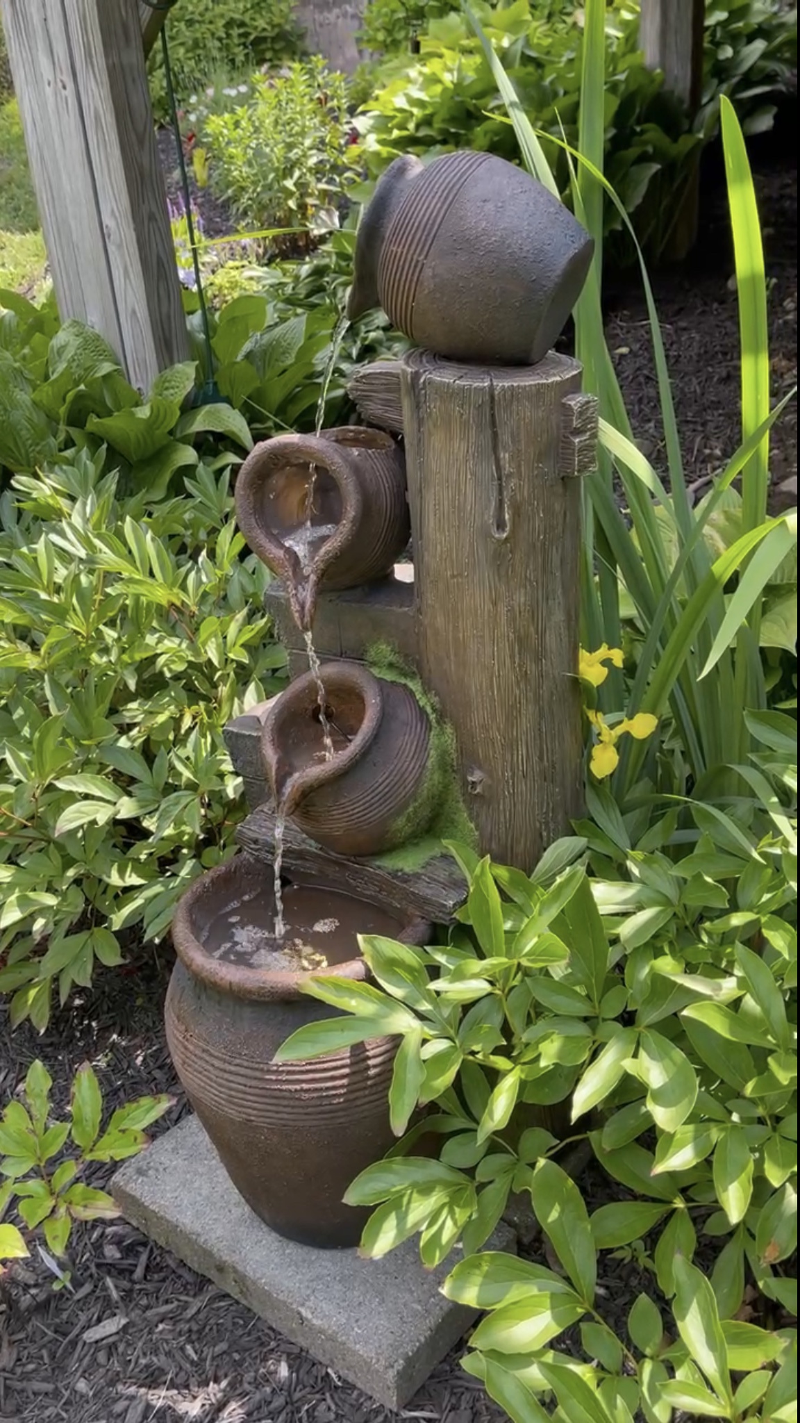 AB7C846FE31B3131A01A5686C8F056