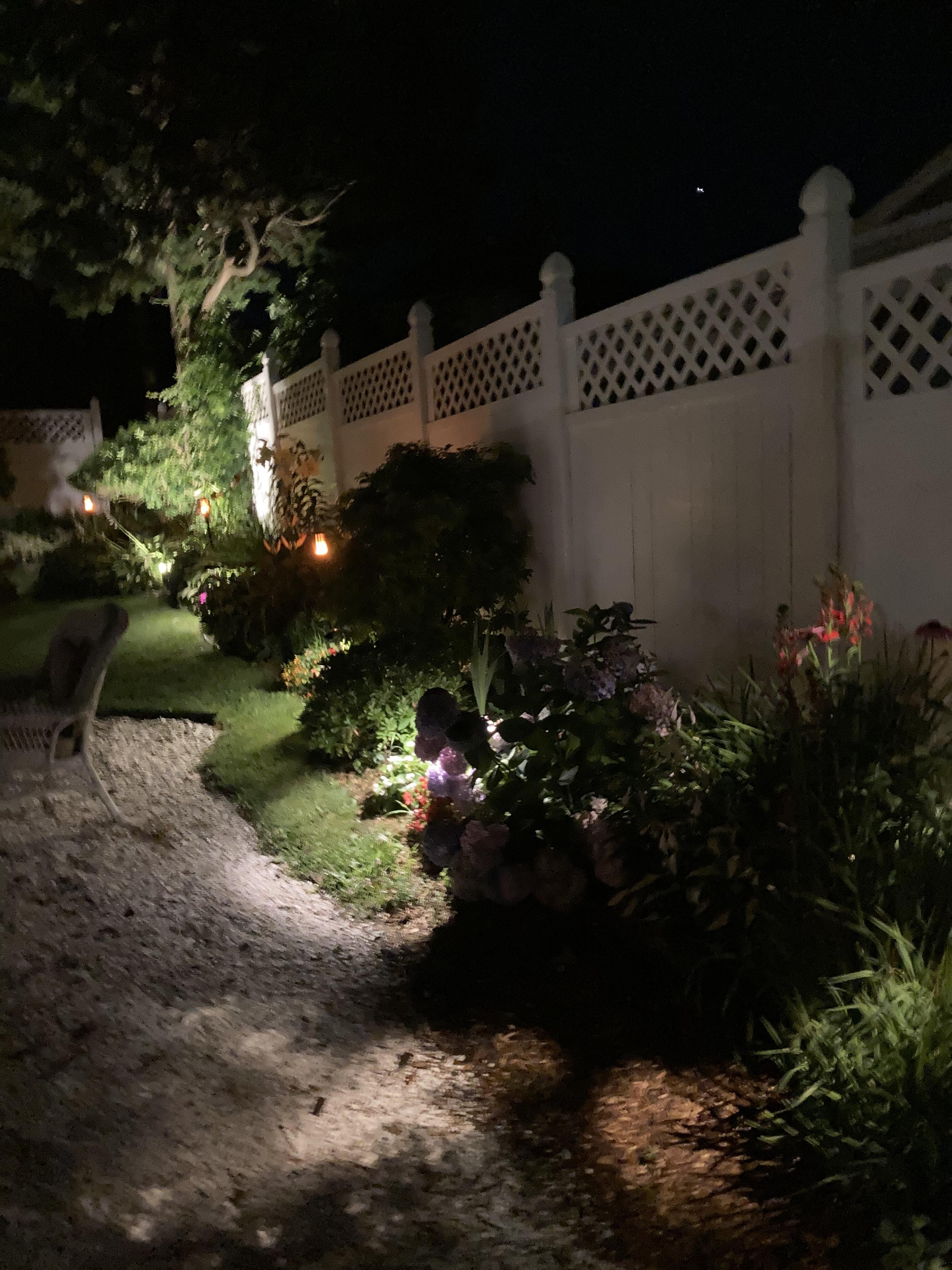 Large Mushroom Bronze Finish LED Landscape Path Lights - Set