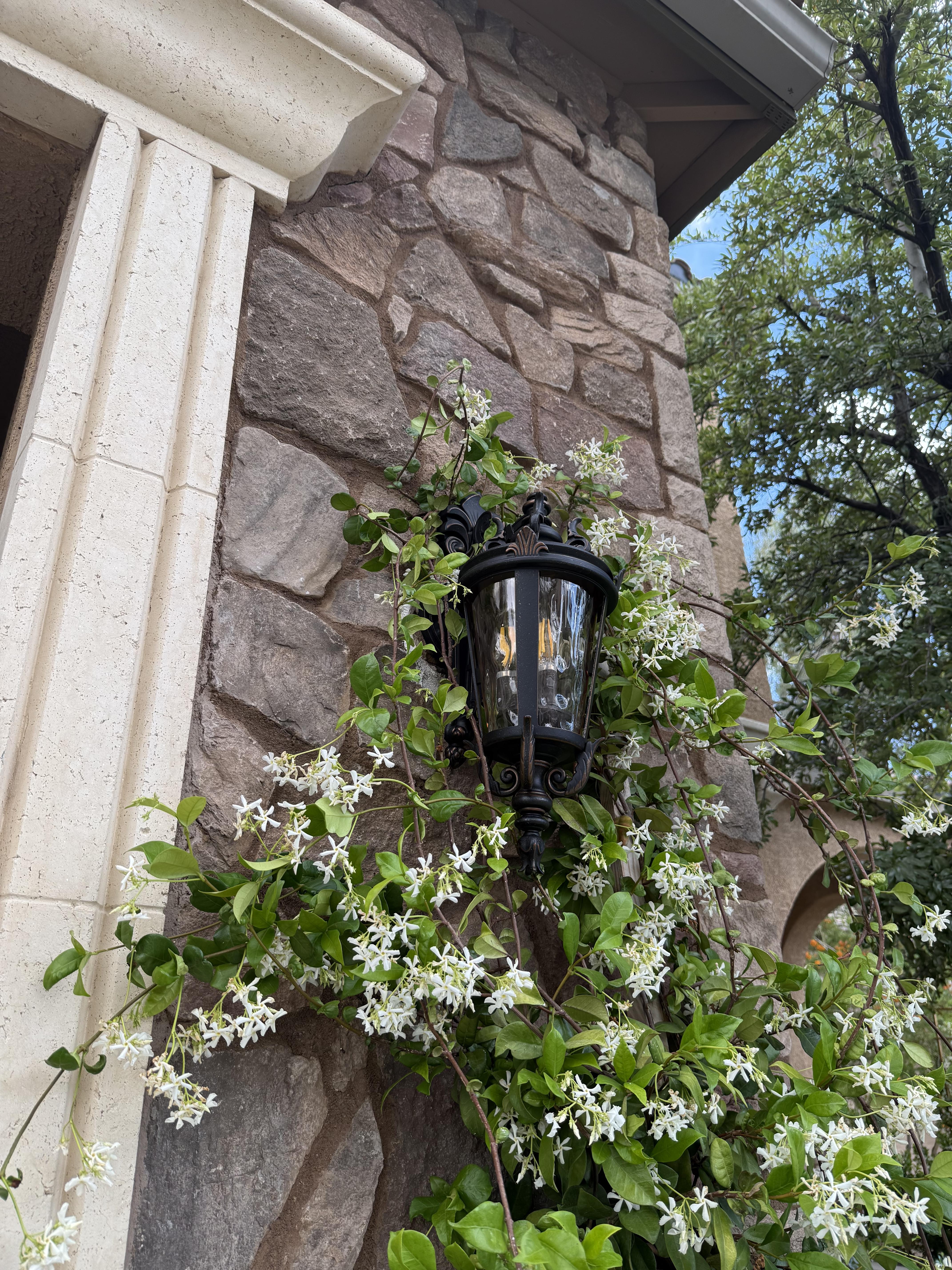 John Timberland Casa Marseille 21 3/4