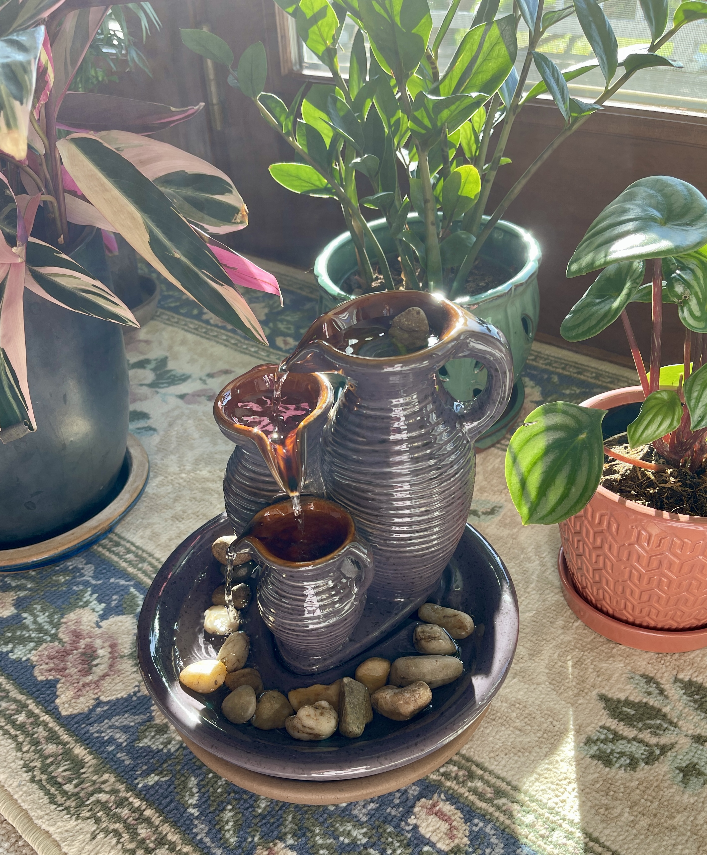 Cutie Triple Jug Indoor-Outdoor 8 1/4