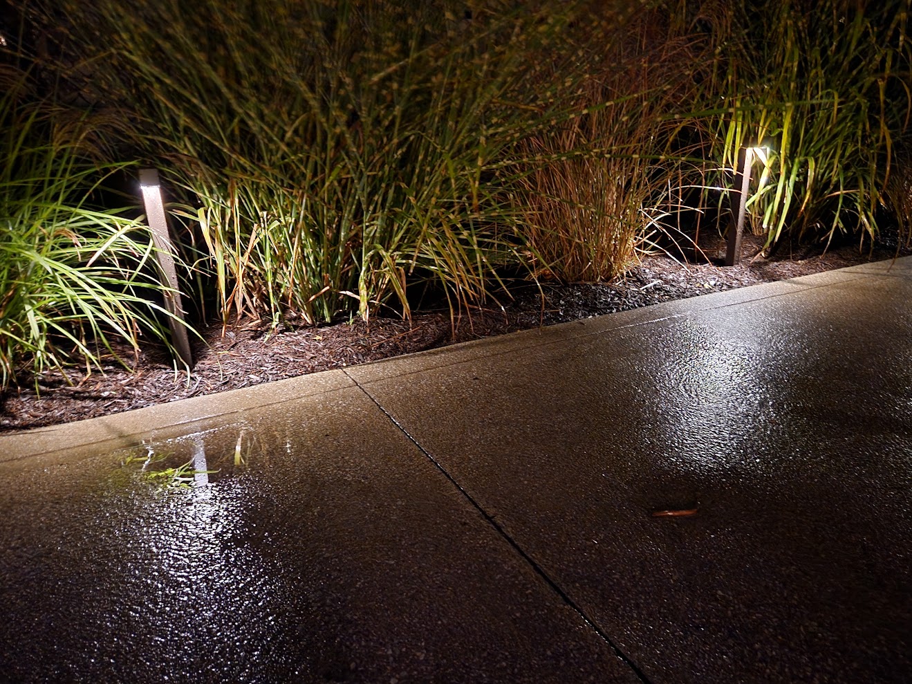 ライトニング adidas Originals ZX Flux 