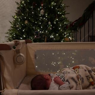 Submitted by Madeline G