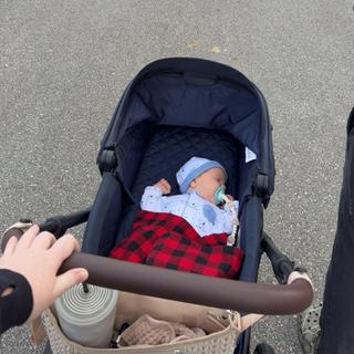 Submitted by Audrey F