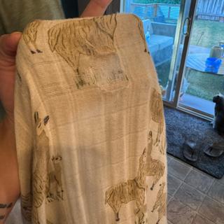 Submitted by Alexa M