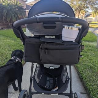 Submitted by Carlita