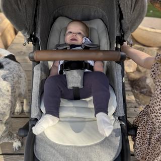 Submitted by Momdeaz