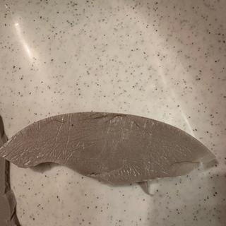 Submitted by Kayleigh K