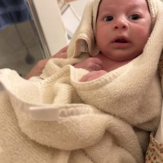 Submitted by Natalie