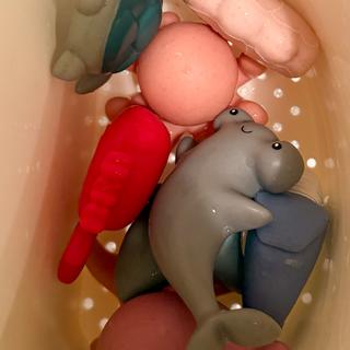 Submitted by Wacky11