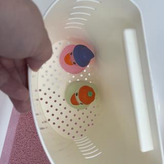 Submitted by Kristina