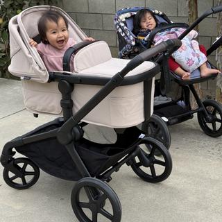 Submitted by SoyRocio