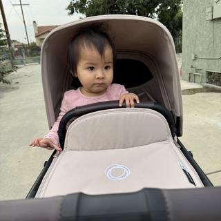 Submitted by SoyRocio