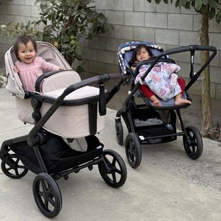 Submitted by SoyRocio