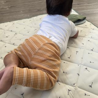 Submitted by Baby gym