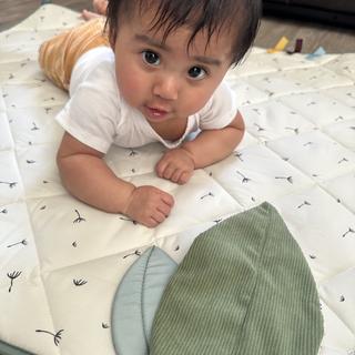 Submitted by Baby gym