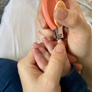 Submitted by Nicolette Legg