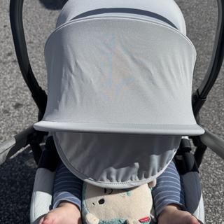 Submitted by mkflaherty