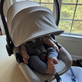 Submitted by mkflaherty