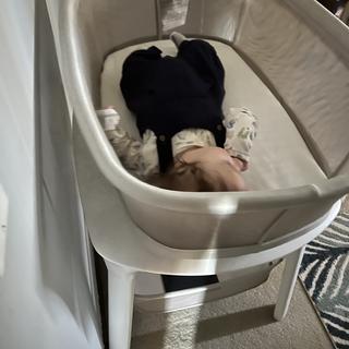 Submitted by torielea