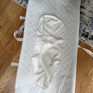 Submitted by Isabel Z