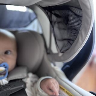 Submitted by BeccaAdkins