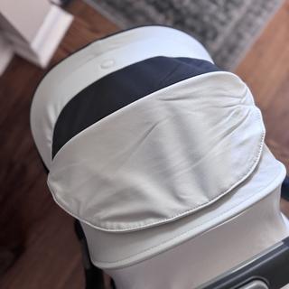 Submitted by BeccaAdkins