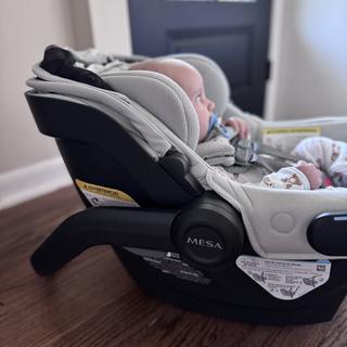 Submitted by BeccaAdkins