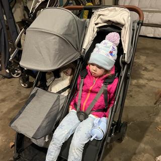 Submitted by Raporte