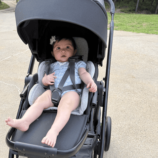 Submitted by allysome